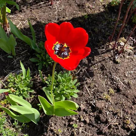 Nydelig Ved Sjoen Med Oppvarmet Basseng Villa *
