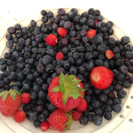 Nydelig Ved Sjoen Med Oppvarmet Basseng * Bergen