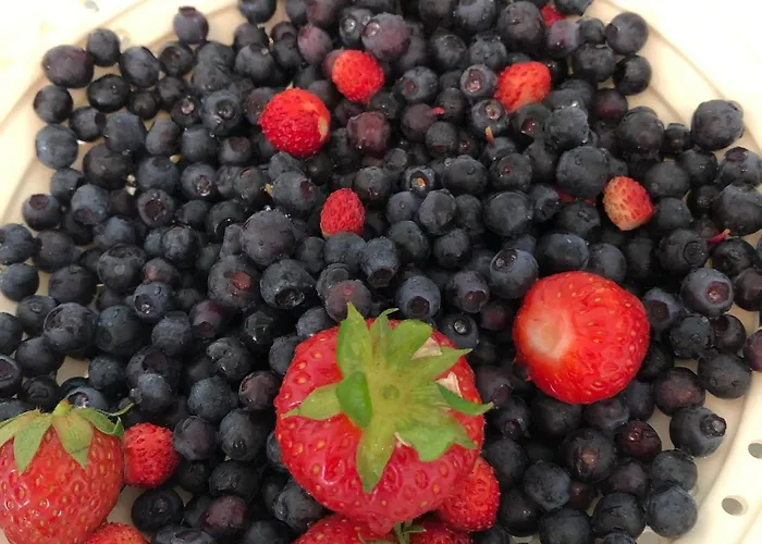 Nydelig Ved Sjoen Med Oppvarmet Basseng * ברגן