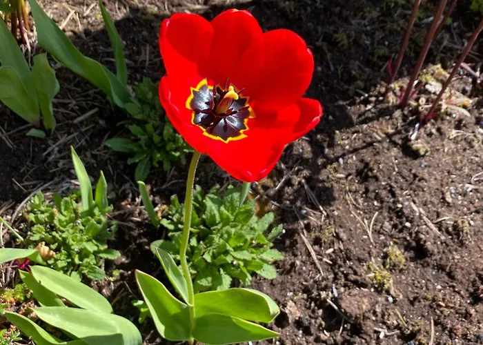 Nydelig Ved Sjoen Med Oppvarmet Basseng 别墅 *