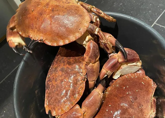 Βίλα Nydelig Ved Sjoen Med Oppvarmet Basseng