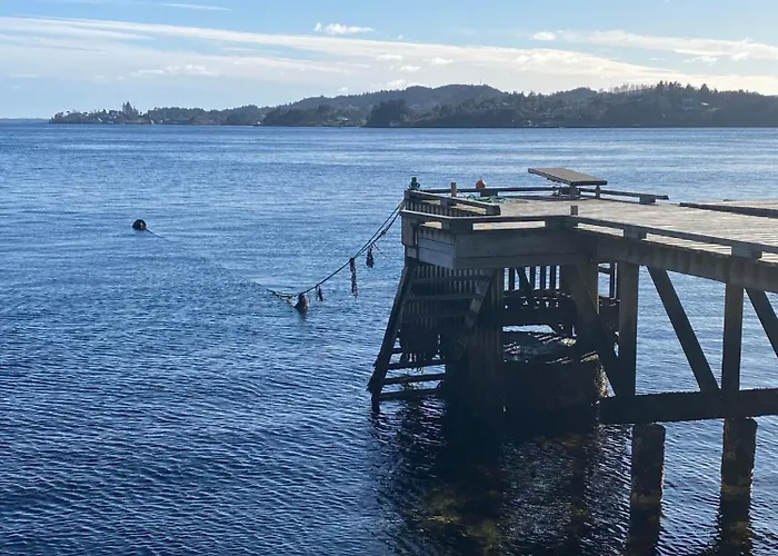 Nydelig Ved Sjoen Med Oppvarmet Basseng *